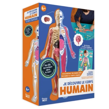 Auzou My Activity Box Set Discovering The Ηuman Βody